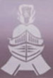 Knight Limousine Logo